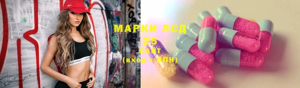 твердый Инта