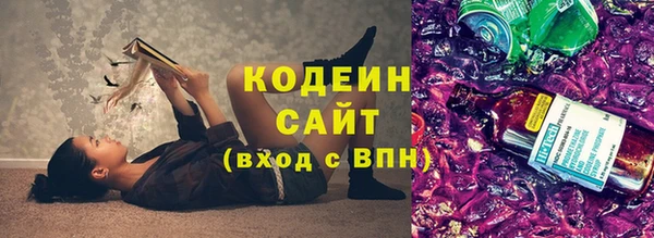твердый Инта