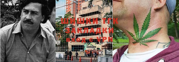 твердый Инта