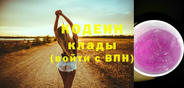 твердый Инта