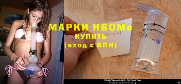 твердый Инта