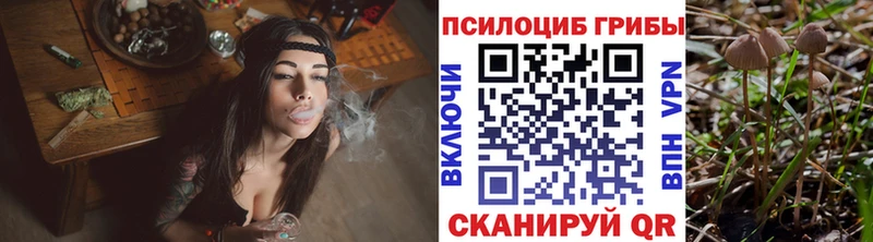 Псилоцибиновые грибы ЛСД  Новочеркасск 